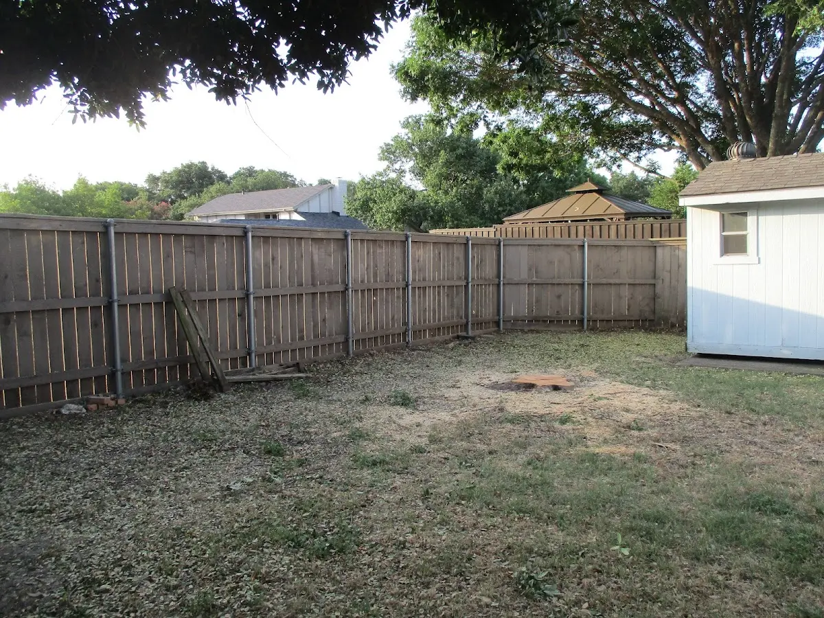 Cleared yard after professional tree removal in Mechanicsburg